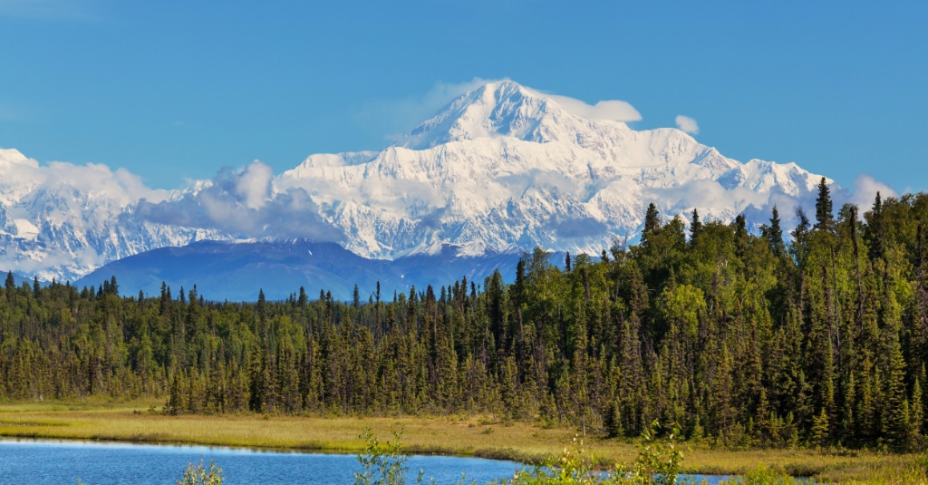 Alaska Denali National Park