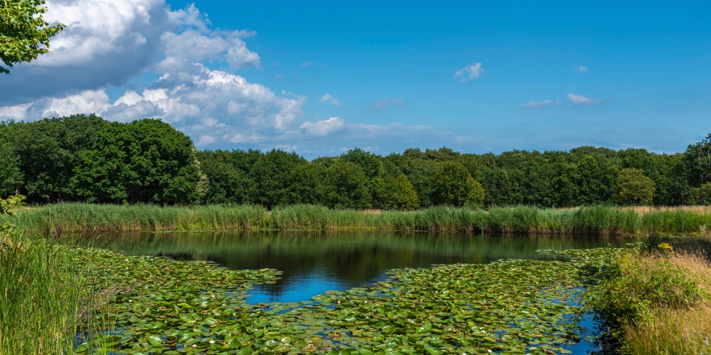 Natuurpark De Manteling bij Oostkapelle